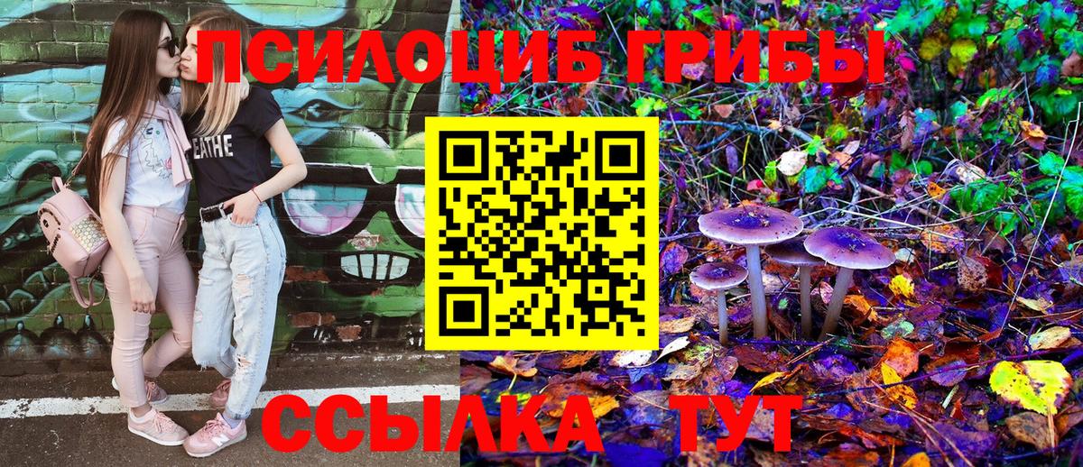 Псилоцибиновые грибы Magic Shrooms Ялуторовск